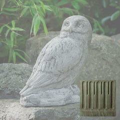 Campania Polar Owl