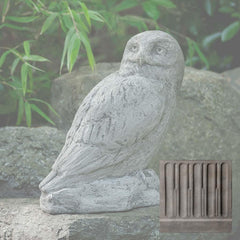Campania Polar Owl