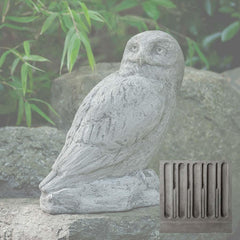 Campania Polar Owl