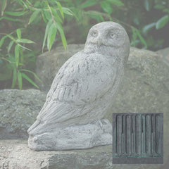 Campania Polar Owl