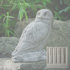 Campania Polar Owl