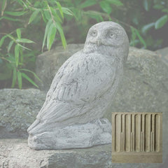Campania Polar Owl