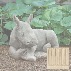 Campania White Rhinoceros Calf