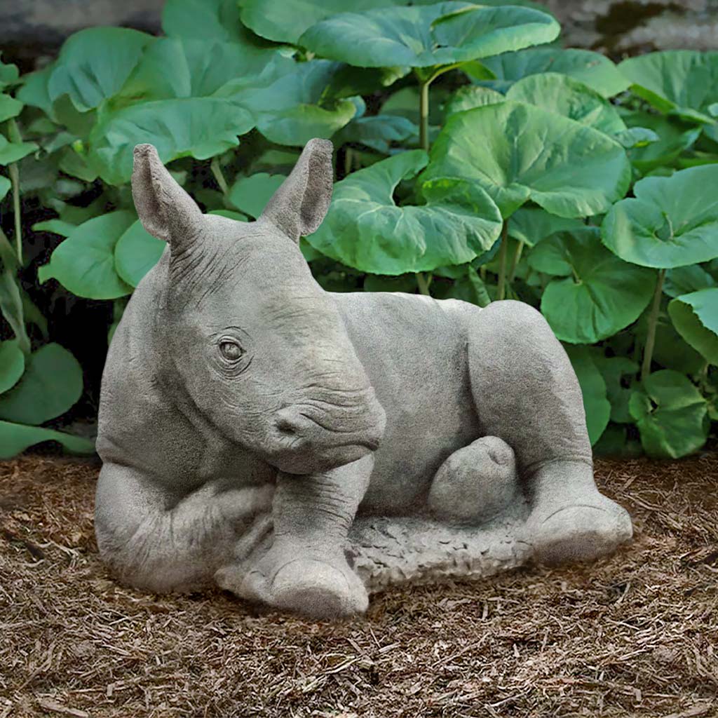 Campania White Rhinoceros Calf