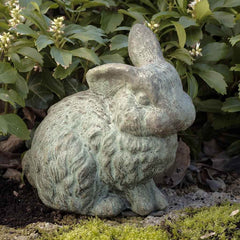 Campania Rabbit with 1 Ear Up
