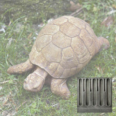 Campania Turtle