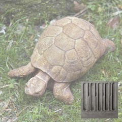 Campania Turtle