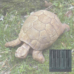 Campania Turtle
