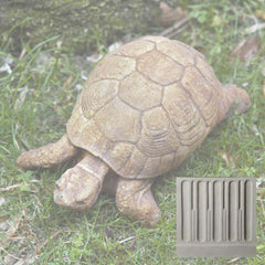 Campania Turtle