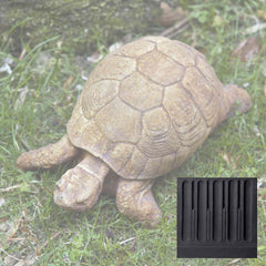 Campania Turtle