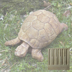 Campania Turtle