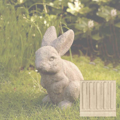 Campania Rabbit Ears Up