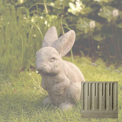 Campania Rabbit Ears Up