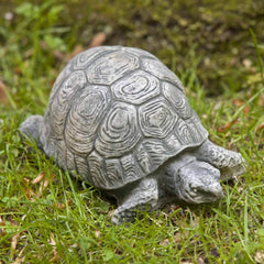 Campania Turtle Small