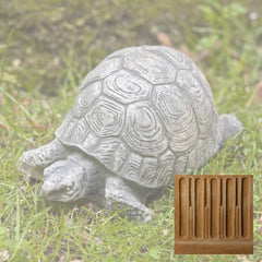 Campania Turtle Small