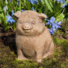 Campania Piglet