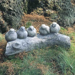 Campania Birds on a Log