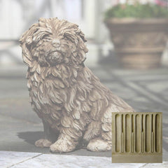 Campania Fluffy Dog