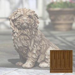 Campania Fluffy Dog