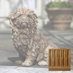 Campania Fluffy Dog