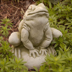 Campania Frankie Frog