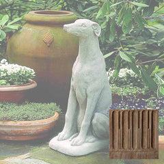 Campania Greyhound