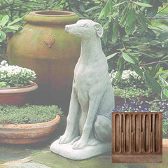 Campania Greyhound
