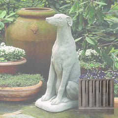 Campania Greyhound