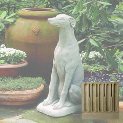 Campania Greyhound