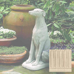 Campania Greyhound