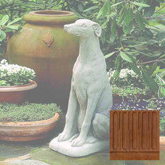 Campania Greyhound