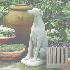 Campania Greyhound