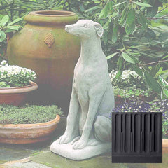 Campania Greyhound