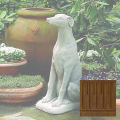 Campania Greyhound