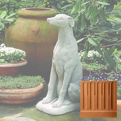 Campania Greyhound