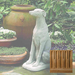 Campania Greyhound