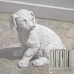 Campania Lab Pup