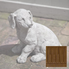 Campania Lab Pup