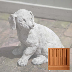 Campania Lab Pup