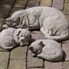Campania Curled Cat Small