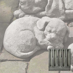 Campania Curled Dog Small