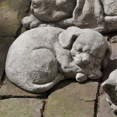 Campania Curled Dog Small