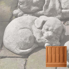 Campania Curled Dog Small