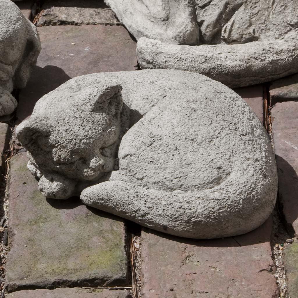 Campania Curled Cat Small