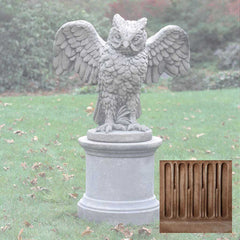 Campania Soaring Owl