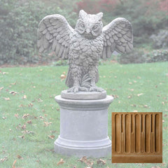 Campania Soaring Owl