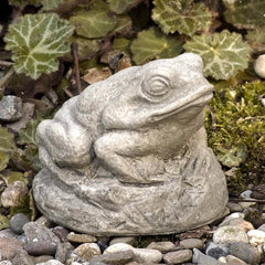 Campania Tiny Frog