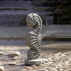 Campania Seahorse