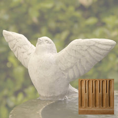 Campania Flutter