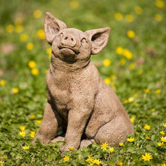 Campania Perky Pig